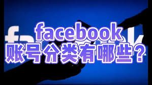 FB最全的账号分类讲解